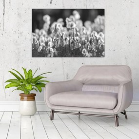 Obraz - Letná lúka (90x60 cm)