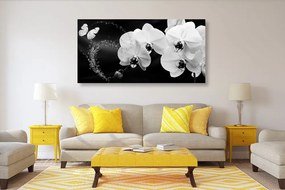Obraz čiernobiela orchidea a motýľ Varianta: 100x50
