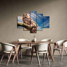 Obraz sovy (150x105 cm)