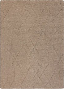 Koberec DUNE WOOL 497 03 TM620 hnedý