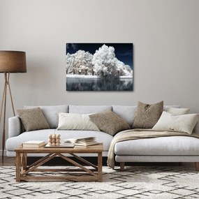 Obraz - Snehobiele stromy (70x50 cm)
