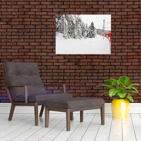 Obraz - Vlak v zasneženej krajine (70x50 cm)