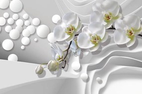 Tapeta orchidea na abstraktnom pozadí - 450x300