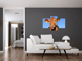 Obraz kravy