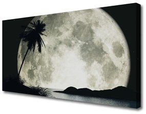Obraz na plátne Noc mesiac palma krajina 100x50 cm