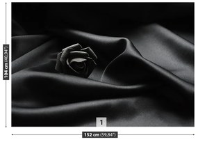 Fototapeta Vliesová Čierna ruža 416x254 cm