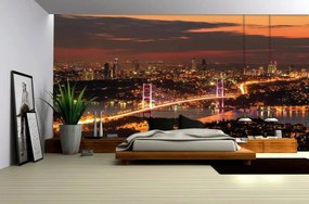 Fototapeta - Pohľad na River City (254x184 cm)