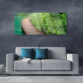 Obraz plexi Most stromy architektúra 125x50 cm