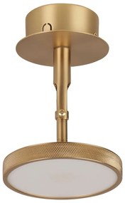 LED bodové svietidlo v zlatej farbe ø 12 cm Asteria Spot – UMAGE