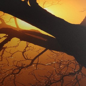 Obraz stromu pri západe slnka (120x50 cm)