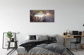 Sklenený obraz Unicorn v lese 100x50 cm