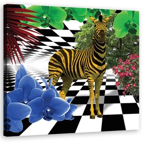 Obraz na plátně, Barevná zvířata přírody Zebra - 40x40 cm