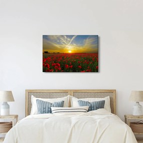 braz poľa vlčích makov (90x60 cm)