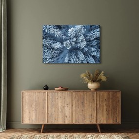 Obraz - Zasnežený les (90x60 cm)