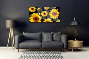 Skleneny obraz Slnečnica rastlina príroda 140x70 cm