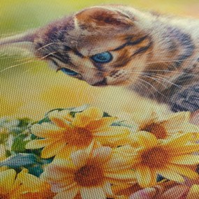 Obraz mačiatka pozerajúce sa na kvetinu (s hodinami) (90x30 cm)