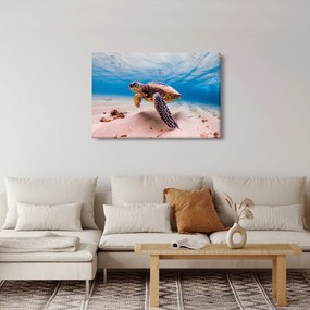 Obraz korytnačky v oceáne (90x60 cm)