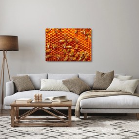 Sklenený obraz - Medový plást (70x50 cm)