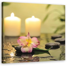 Obraz na plátně, Svíčky a orchidej zen - 30x30 cm
