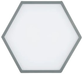 Argon 8784 - LED Stropné svietidlo LIBERO LED/12W/230V 3000K šedá