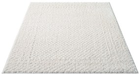 Dekorstudio Moderný koberec FOCUS 627 krémový Rozmer koberca: 120x170cm
