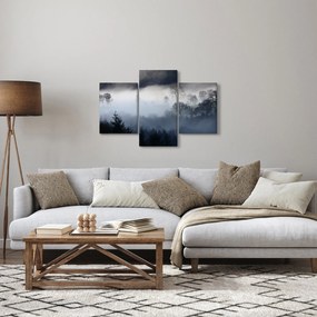 Obraz hmly nad lesom (90x60 cm)