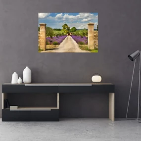 Obraz - Levanduľové cesty (90x60 cm)