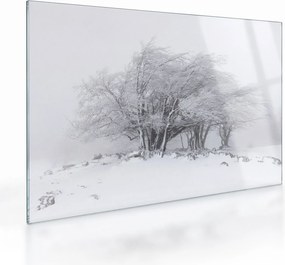 Sklenený obraz - Biela zima (70x50 cm)