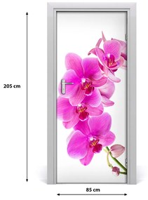 Fototapeta samolepiace ružová orchidea 85x205 cm