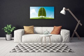 Obraz Canvas Tráva strom pľúca príroda 120x60 cm