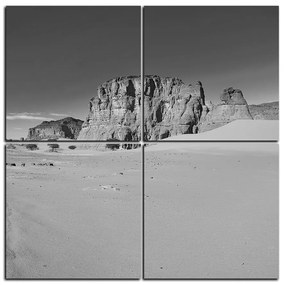 Obraz na plátne - Cesta v púšti - štvorec 3129QE (60x60 cm)