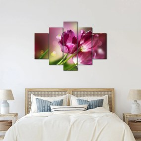 Obraz ružových tulipánov (150x105 cm)