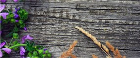 Obraz - lúčne kvety (120x50 cm)