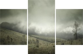 Obraz krajiny pred búrku (90x60 cm)