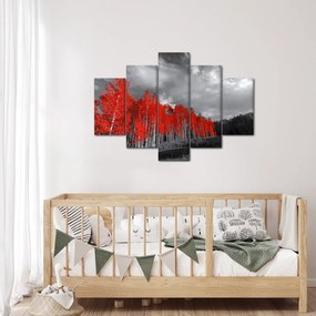 Obraz - Stromy vo farbe jesene (150x105 cm)