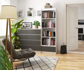 Regál R60 1SZ 4P CLP biely / sivý