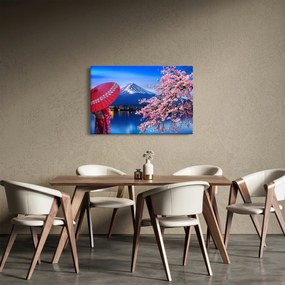 Obraz - Výhľad na vrchol, Japonsko (90x60 cm)