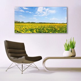 Obraz na akrylátovom skle Púpava príroda 120x60 cm