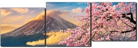 Obraz na plátne - Hora Fuji a čerešňové kvety na jar - panoráma 5266E (150x50 cm)