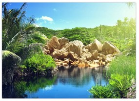 Obraz jazera v Seychelskej džungli (70x50 cm)