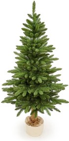 Jedľa Karpatská na pni 190cm