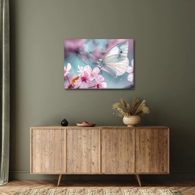 Obraz - Motýľ na čerešni (70x50 cm)