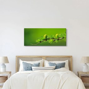 Obraz zelenej šišky (120x50 cm)