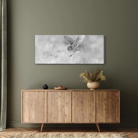 Obraz - Sova v poli (120x50 cm)