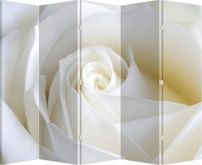 Paraván - Biela ruža (210x170 cm)