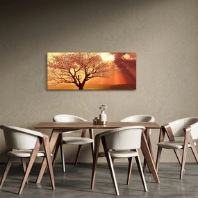 Obraz lúčov Boha (120x50 cm)