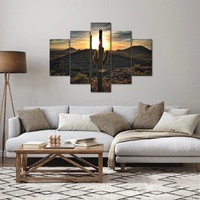 Obraz - kaktusy v slnku (150x105 cm)