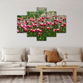 Obraz tulipánov (150x105 cm)
