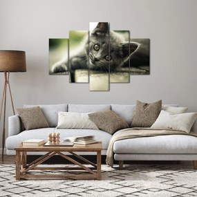 Obraz mačiatka (150x105 cm)