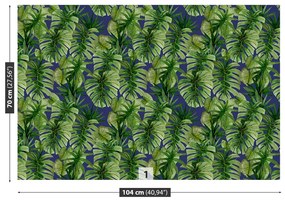 Fototapeta Vliesová Tropické monstera 250x104 cm